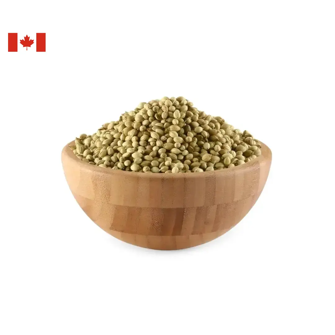 Coriander-Seeds-CAD