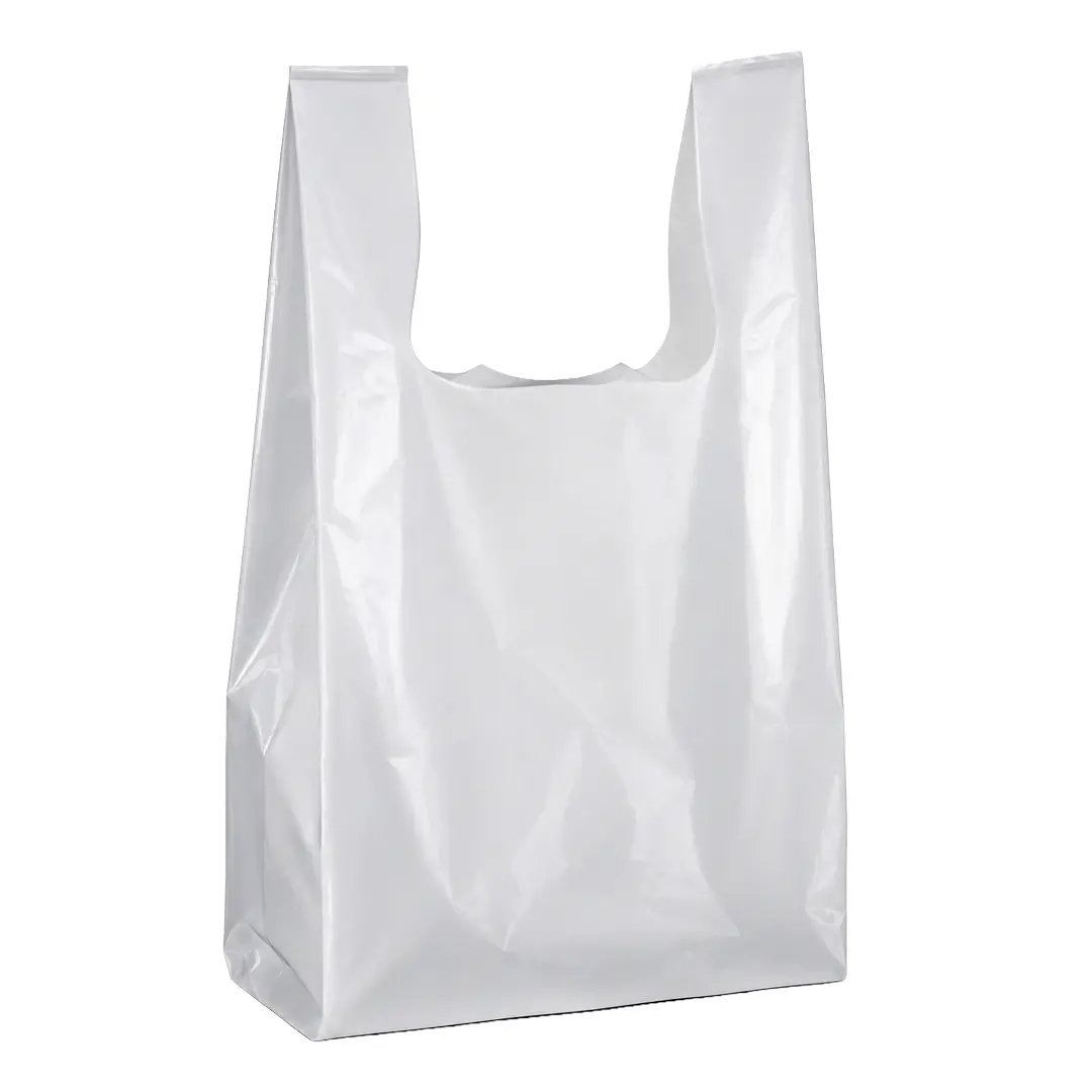Plastic Bag (Fit Size 1 kg)